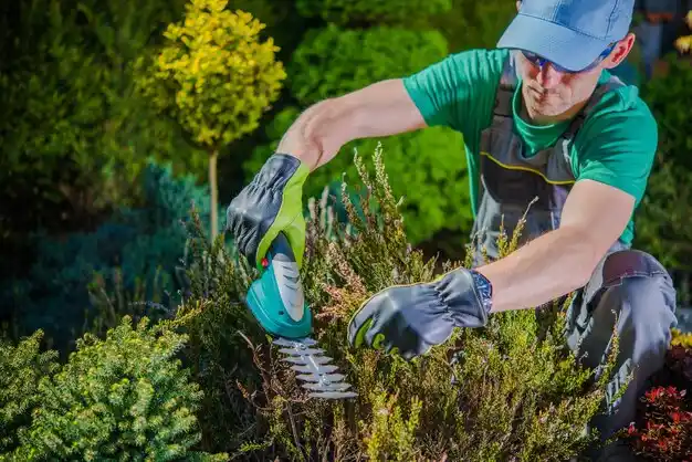 landscaping services St. Gabriel